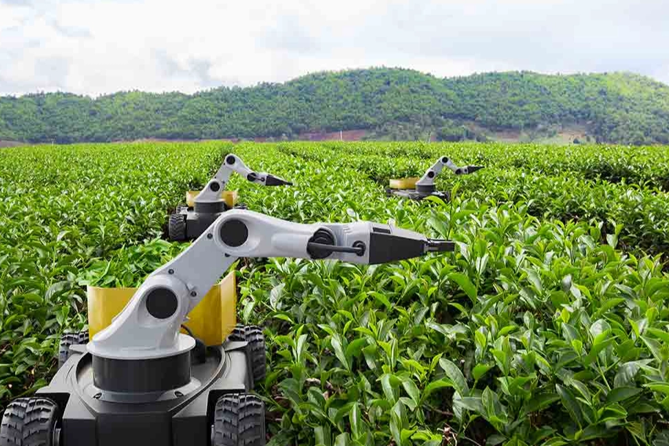 Kamu Teknoloji Platformu 2026'yı 'Kamusal Zek&acirc; Yılı' ilan etti... Kamuda 'metal yaka' d&ouml;nemi başlıyor