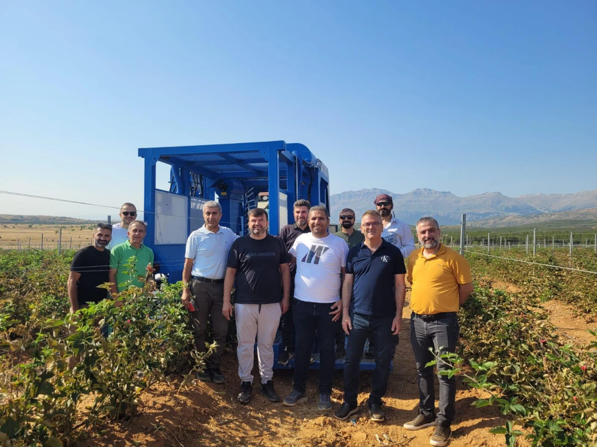 D&uuml;nyanın En B&uuml;y&uuml;k B&ouml;ğ&uuml;rtlen Bah&ccedil;esinde İlk Hasat Ger&ccedil;ekleştirildi