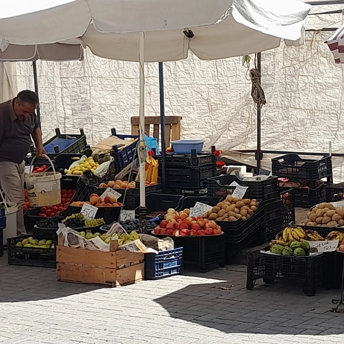Sebze ve Meyve Fiyatları Cep Yakıyor