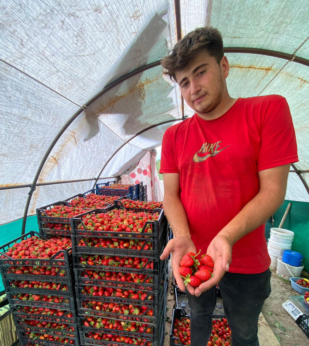 SEYDİŞEHİR ÇİLEĞİ AROMASI BAKIMINDAN TÜRKİYE’DE İLK SIRALARDA…