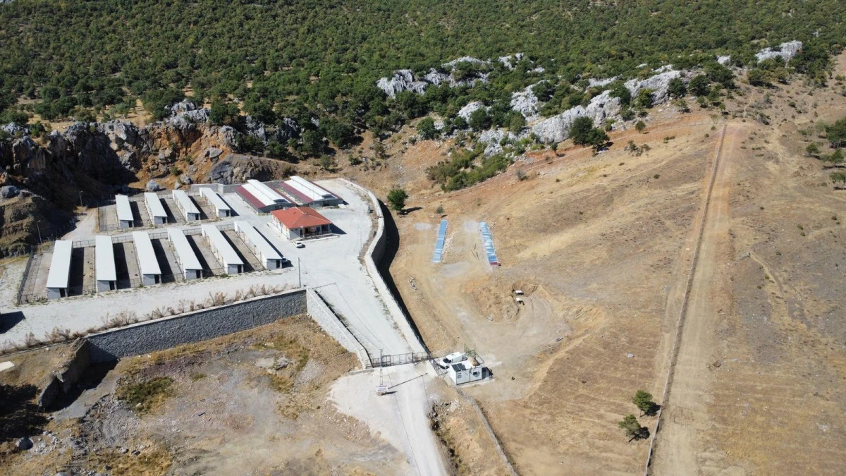 Seydişehir&rsquo;de Başıboş K&ouml;pek Sorunu B&uuml;y&uuml;k &Ouml;l&ccedil;&uuml;de &Ccedil;&ouml;z&uuml;ld&uuml;